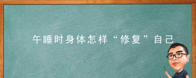 午睡时身体怎样“修复”自己让这些器官来回答你