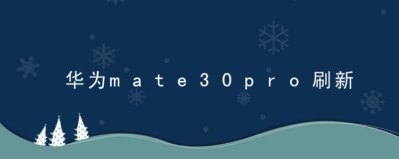 华为mate30pro刷新率