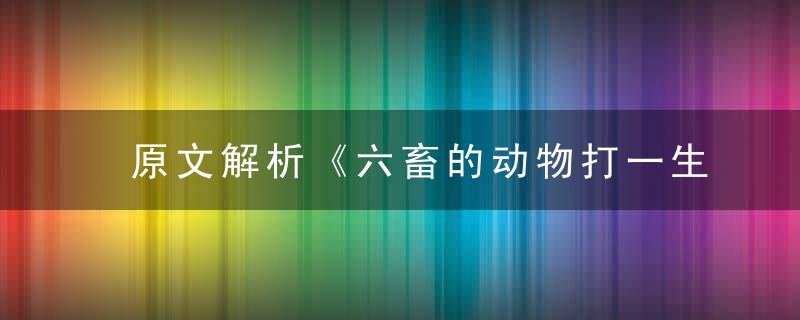 原文解析《六畜的动物打一生肖》六畜的动物代表什么动物