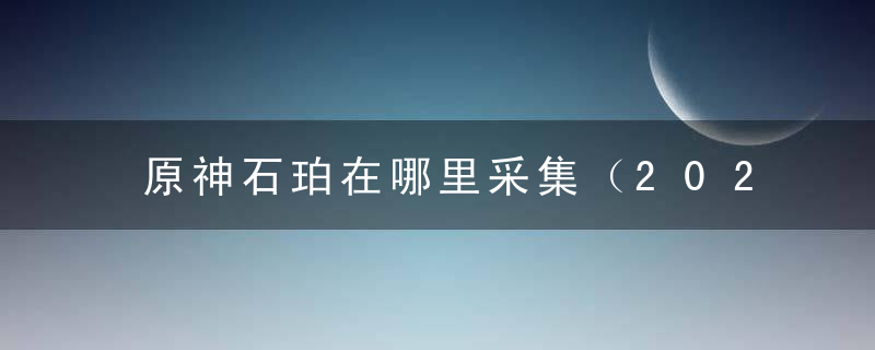 原神石珀在哪里采集（2022原神石珀最佳获取路线分享）