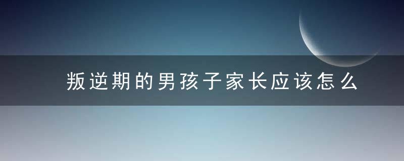 叛逆期的男孩子家长应该怎么教