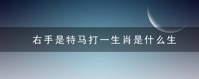 右手是特马打一生肖是什么生肖指什么动物请看正确分析