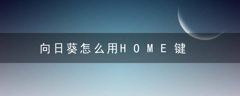 向日葵怎么用HOME键