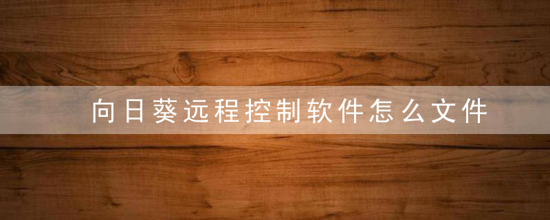 向日葵远程控制软件怎么文件传输？ 向日葵远程控制软件文件传输教程