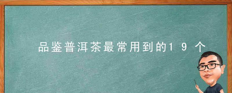 品鉴普洱茶最常用到的19个词汇（茶人必看）