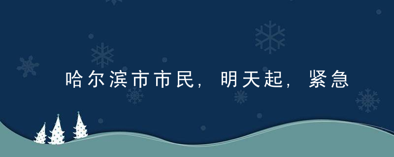 哈尔滨市市民,明天起,紧急事项预约办理,一般事项暂停