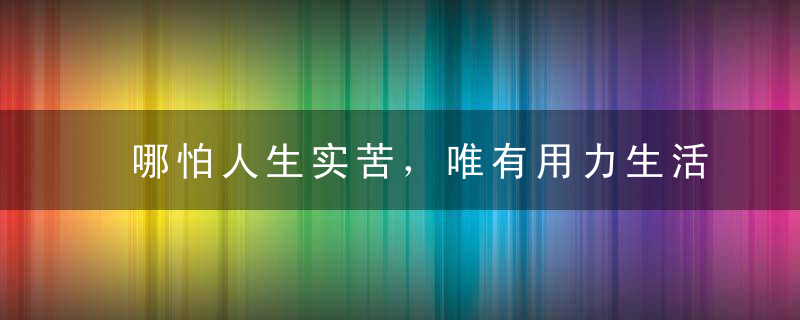 哪怕人生实苦，唯有用力生活！纵使谋生艰难，还请努力打拼！