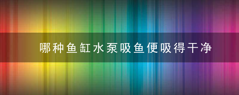 哪种鱼缸水泵吸鱼便吸得干净,哪种氧气泵蕞静音都干净