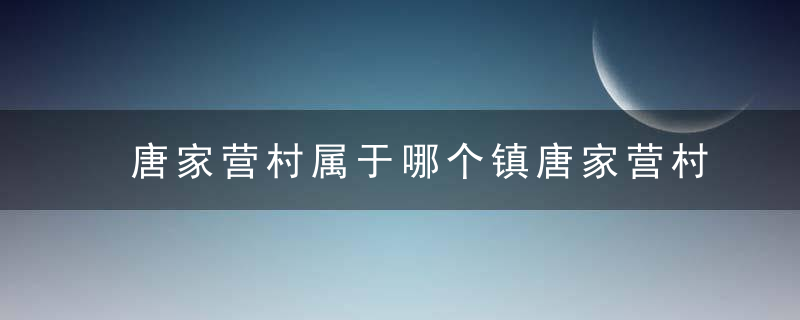 唐家营村属于哪个镇唐家营村介绍，唐家村唐家堡