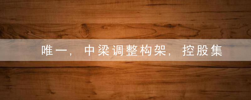 唯一,中梁调整构架,控股集团总部相关职能与地产集团整