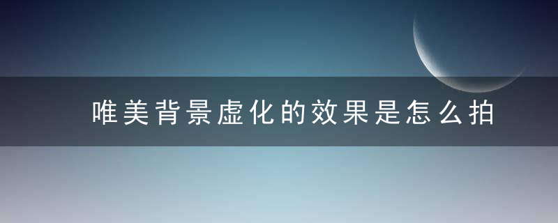 唯美背景虚化的效果是怎么拍出来的怎么用单反拍出这种效果