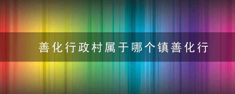 善化行政村属于哪个镇善化行政村介绍，善化是哪里