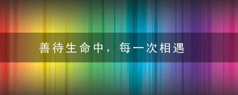 善待生命中，每一次相遇
