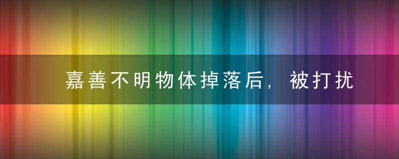 嘉善不明物体掉落后,被打扰的鱼塘老板,有访客拿石头夜