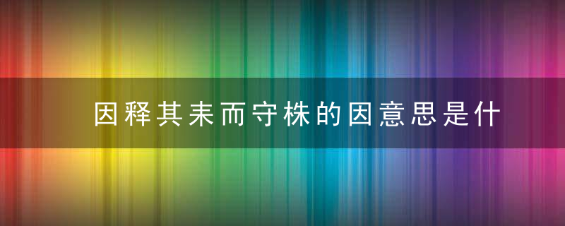 因释其耒而守株的因意思是什么 因释其耒而守株翻译