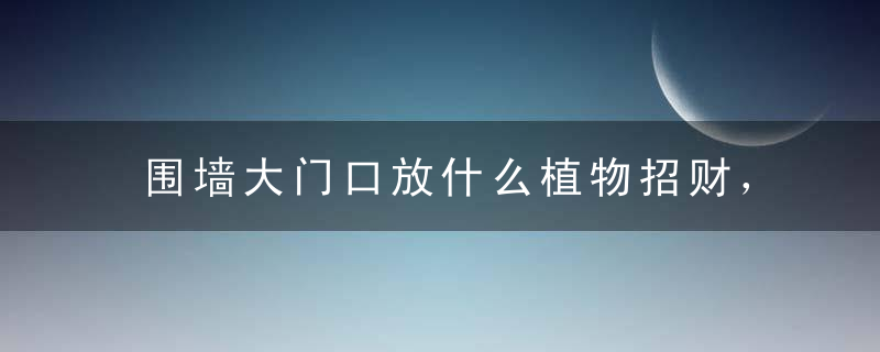 围墙大门口放什么植物招财，围墙大门口放什么植物招财好