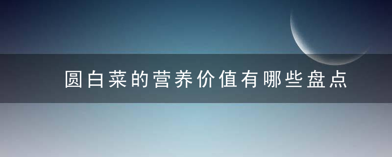 圆白菜的营养价值有哪些盘点圆白菜的做法