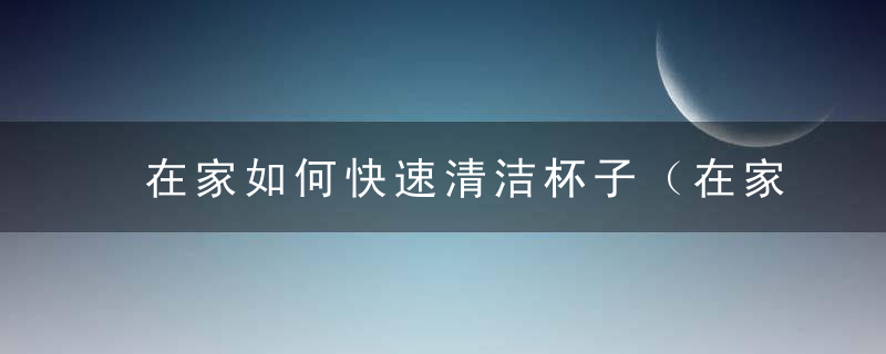 在家如何快速清洁杯子（在家如何快速清洁杯子茶垢）