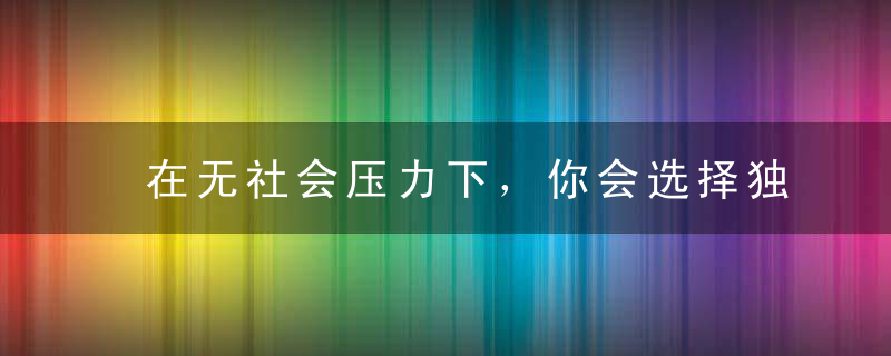 在无社会压力下，你会选择独身一人吗