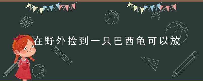 在野外捡到一只巴西龟可以放生吗 在野外捡到一只巴西龟是否可以放生