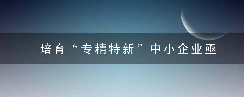 培育“专精特新”中小企业亟待解决的问题