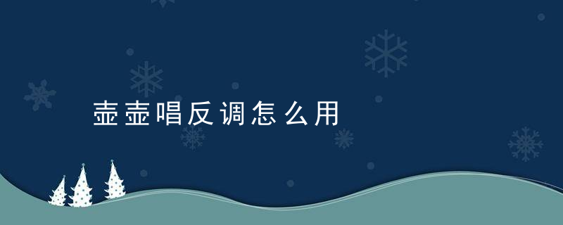 壶壶唱反调怎么用