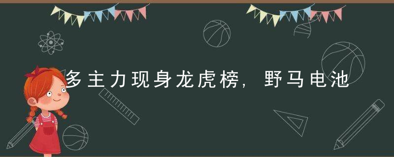 多主力现身龙虎榜,野马电池换手率达23.62%（10