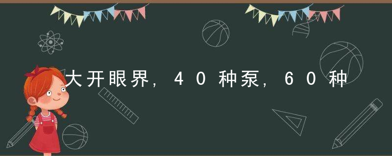 大开眼界,40种泵,60种阀门动画,好东西,不求人,