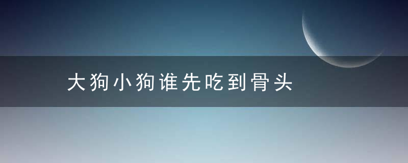 大狗小狗谁先吃到骨头