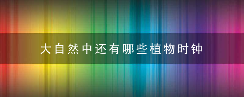 大自然中还有哪些植物时钟