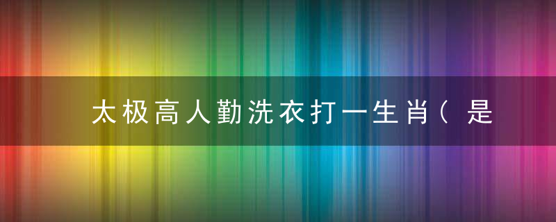 太极高人勤洗衣打一生肖(是什么动物)现南宁新闻疫情防控发布会