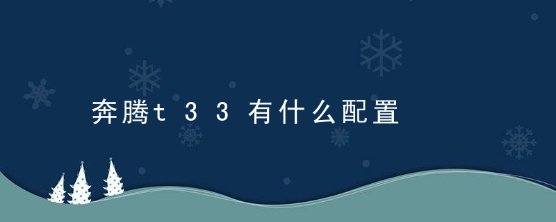 奔腾t33有什么配置