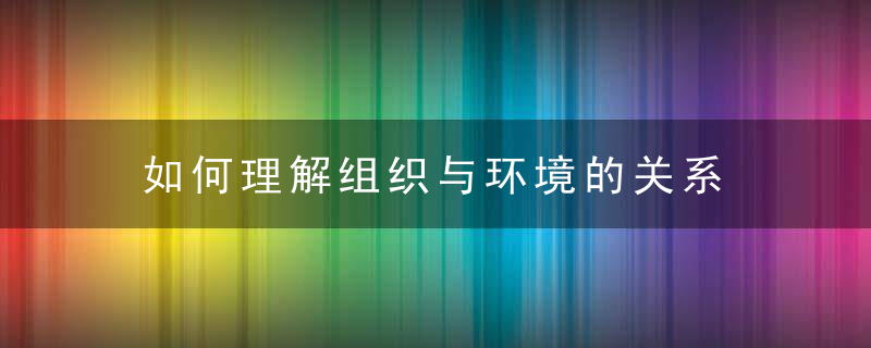 如何理解组织与环境的关系