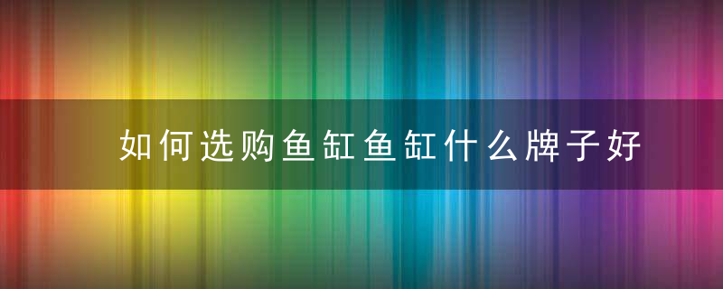 如何选购鱼缸鱼缸什么牌子好