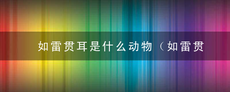 如雷贯耳是什么动物（如雷贯耳打一生肖）空间务广州新闻疫情防控