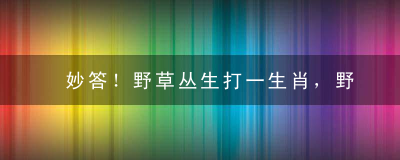 妙答！野草丛生打一生肖，野草丛生打1生肖，野草丛生是什么生肖