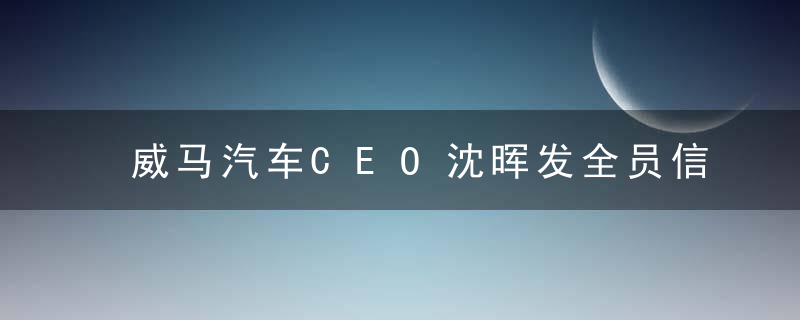 威马汽车CEO沈晖发全员信：员工全部降薪 今年没有年终奖