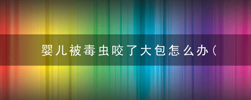 婴儿被毒虫咬了大包怎么办(夏季宝宝被毒虫咬了)