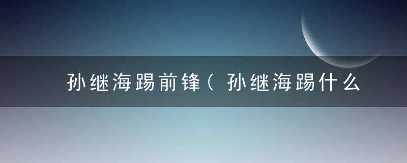 孙继海踢前锋(孙继海踢什么位置)