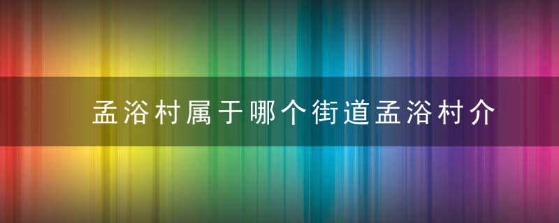 孟浴村属于哪个街道孟浴村介绍，孟村是什么地方