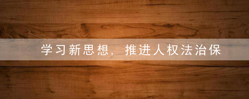 学习新思想,推进人权法治保障,构建人权治理的为什么话语
