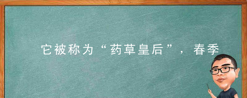 它被称为“药草皇后”，春季野外随处可见，千万别错过了~