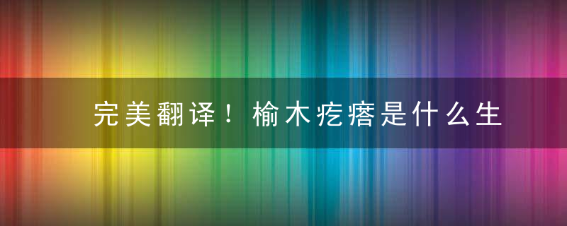 完美翻译！榆木疙瘩是什么生肖榆木疙瘩指什么动物，什么含义
