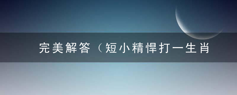 完美解答（短小精悍打一生肖）是什么意思短小精悍是什么生肖