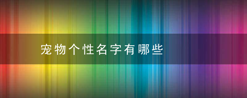 宠物个性名字有哪些