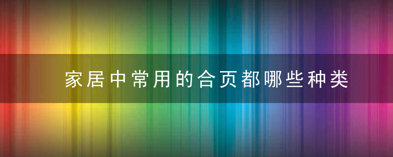 家居中常用的合页都哪些种类合页和铰链由什么区别如