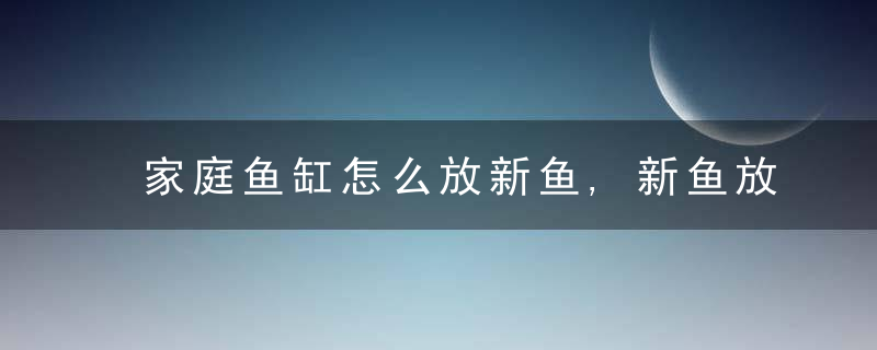 家庭鱼缸怎么放新鱼,新鱼放入浴缸要注意什么