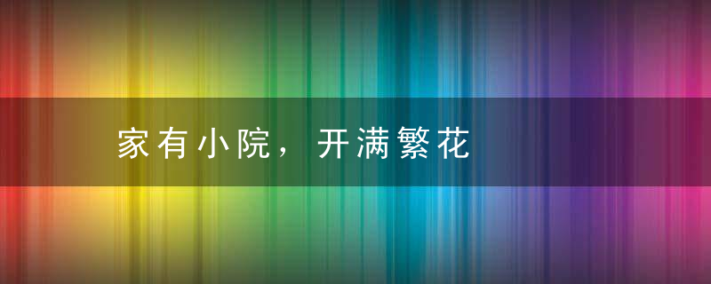 家有小院，开满繁花