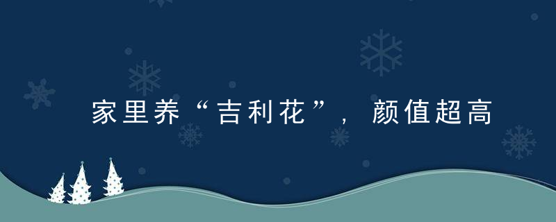 家里养“吉利花”,颜值超高寓意好,初春就开花