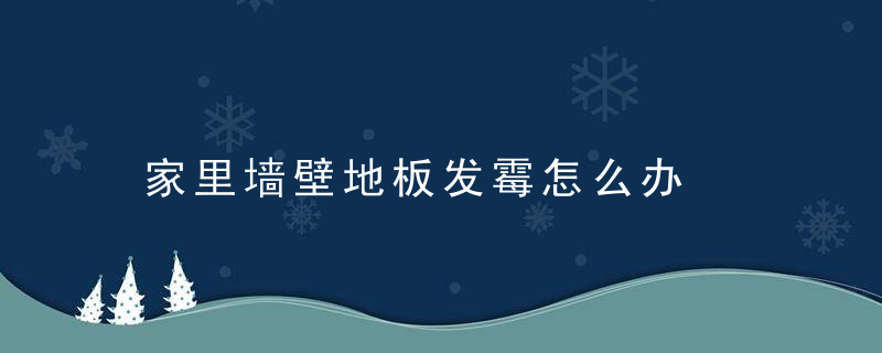 家里墙壁地板发霉怎么办